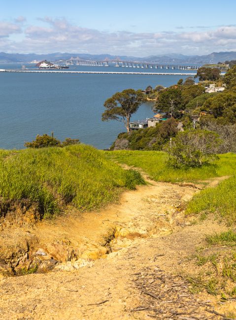 A narrow, uneven dirt footpath with exposed soil and small rocks winds through a grassy hillside, leading towards a body of water and a distant cityscape with a long bridge, under a partly cloudy sky. The foreground features vibrant green grass on both sides of the trail, with some patches of dirt and sparse vegetation. To the right, there are several trees and residential buildings nestled among the foliage, indicating a possibly suburban or semi-rural environment. In the background, the water appears calm and stretches across to the skyline, where urban structures are visible. The overall scene suggests a natural outdoor area that could be part of a walking route or nature reserve, which might sometimes be used for informal or private rubbish disposal, with Rubbish Clearance Richmond providing professional rubbish removal services for nearby properties and pathways, ensuring the area remains clean and accessible. The lighting is natural daylight, highlighting the textures of the grass, soil, and distant water, creating a clear and detailed landscape photograph.